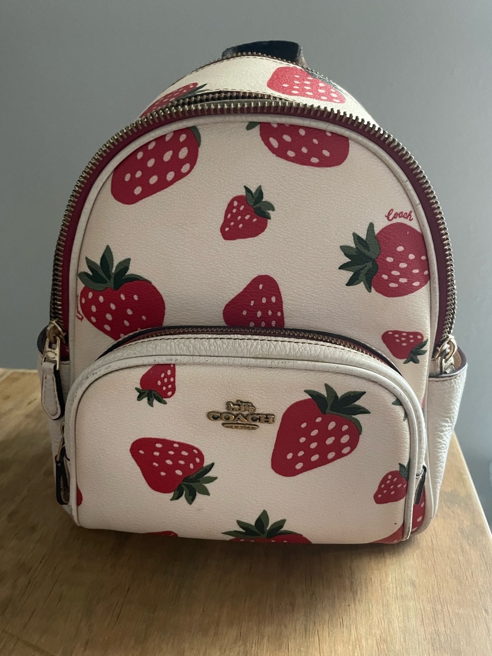Coach Court Backpack Bag With Wild Strawberry Print CH328